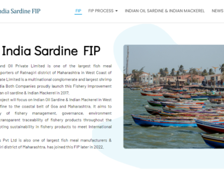 Indian Sardine FIP